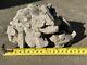 Sand Calcite Cluster 5lbs 4 Oz Cabinet Piece R39