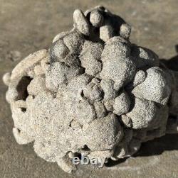 Sand Calcite Cluster 5lbs 4 oz Cabinet Piece R39