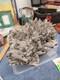 Smokey Quartz Crystal Cluster 25 Lbs Beautiful Piece