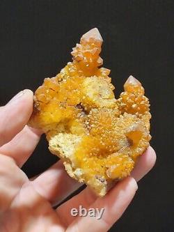 Special Piece Hellflower Pocket Spirit/Cactus Quartz cluster from New Mexico