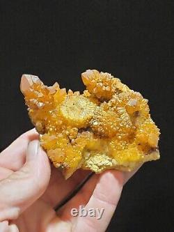 Special Piece Hellflower Pocket Spirit/Cactus Quartz cluster from New Mexico