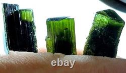 Stak Nala (Green Cap) Tourmaline Terminated Crystals. 29 pieces lot Pakistan