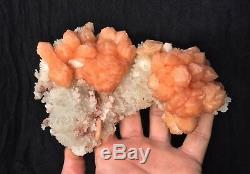 Stilbite with Prehnite (Collectors piece) 160x120mm Natural Mineral/Crystal