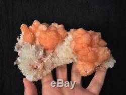 Stilbite with Prehnite (Collectors piece) 160x120mm Natural Mineral/Crystal