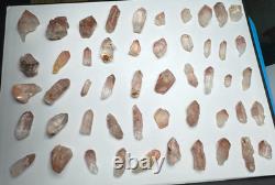 Strawberry Scarlet Temple Pink Lemurian Quartz point Brazil 50 Pieces 500g