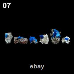 Superb Cavansite Crystals Natural Mineral Specimen (24 pieces Flat) # CA07