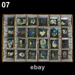 Superb Cavansite Crystals Natural Mineral Specimen (24 pieces Flat) # CA07