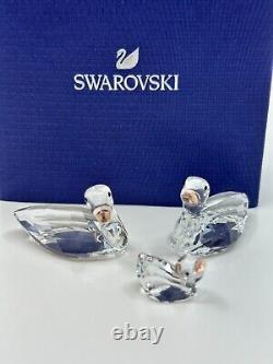 Swans Scs Jubilee Edition Members Piece 2017 Swarovski Crystal 5233542