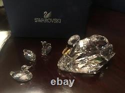 Swans Scs Jubilee Edition Members Piece 2017 Swarovski Crystal 5233542