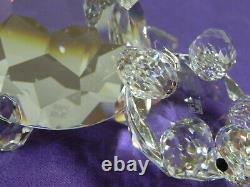 Swarovski Crystal 2 Piece Large Turtle & Small Turtle 7632-045 & 030