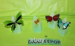 Swarovski Crystal 8 Piece Paradise Butterfly Set With Magnetic Display