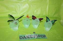 Swarovski Crystal 8 Piece Paradise Butterfly Set With Magnetic Display