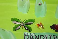 Swarovski Crystal 8 Piece Paradise Butterfly Set With Magnetic Display