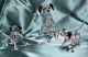 Swarovski Crystal Dalmatians New Set Of All 3 Pieces 2008 Retired Nib