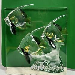 Swarovski Crystal Figurine Wonders of the Sea Community 0898130 + 854651