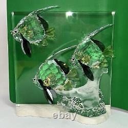 Swarovski Crystal Figurine Wonders of the Sea Community 0898130 + 854651