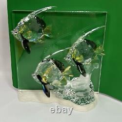 Swarovski Crystal Figurine Wonders of the Sea Community 0898130 + 854651