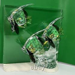 Swarovski Crystal Figurine Wonders of the Sea Community 0898130 + 854651