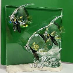 Swarovski Crystal Figurine Wonders of the Sea Community 0898130 + 854651