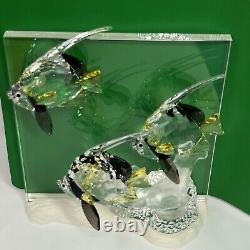 Swarovski Crystal Figurine Wonders of the Sea Community 0898130 + 854651