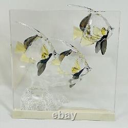 Swarovski Crystal Figurine Wonders of the Sea Community 0898130 + 854651