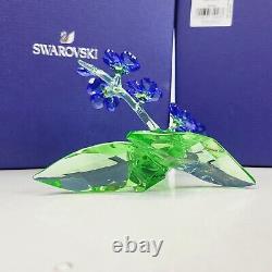 Swarovski Paradise Flowers Forget Me Not Blue 5374947 Mint in Box Stunning Piece
