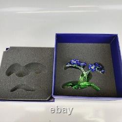 Swarovski Paradise Flowers Forget Me Not Blue 5374947 Mint in Box Stunning Piece