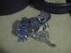 Swarovski Crystal Figurines, Blue Dart Frog Scs Event Piece, Mib Withcoa