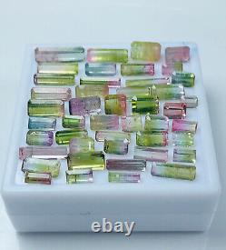 TOURMALINE Bi- color GEMSTONE Lot, 45 pieces, 21 carats