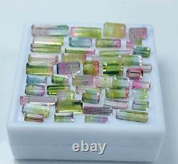 TOURMALINE Bi- color GEMSTONE Lot, 45 pieces, 21 carats