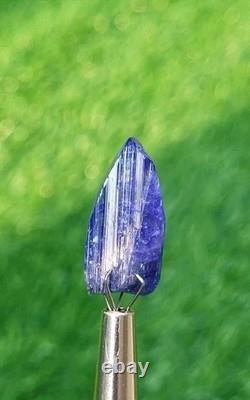 Tanzanite Terminated Crystal A Stunning Piece For Collection (15ct)