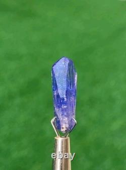 Tanzanite Terminated Crystal A Stunning Piece For Collection (15ct)