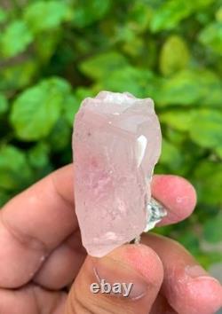 Terminated Morgonite Clean Crystal with Combine Matrix Collection piece