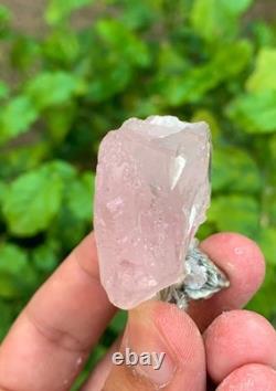 Terminated Morgonite Clean Crystal with Combine Matrix Collection piece