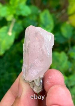 Terminated Morgonite Clean Crystal with Combine Matrix Collection piece