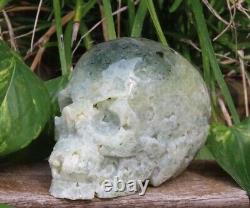 Unique Large Polished and Raw Prehnite Crystal Skull 750Grams Collectors Piece