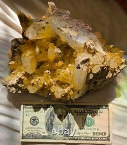 Unique Rare Natural Mango Golden Quartz Crystal Cluster Large Statement Piece