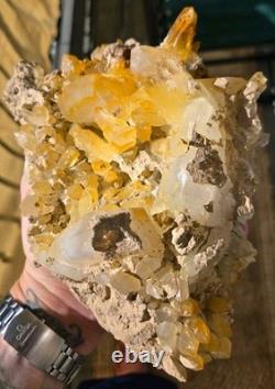 Unique Rare Natural Mango Golden Quartz Crystal Cluster Large Statement Piece