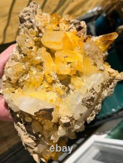 Unique Rare Natural Mango Golden Quartz Crystal Cluster Large Statement Piece