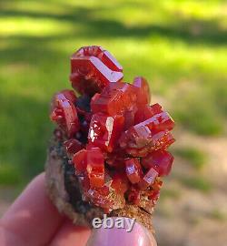 Vanadinite Large Bright Red Hoppered Crystals On Matrix From Morocco Top Piece