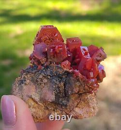 Vanadinite Large Bright Red Hoppered Crystals On Matrix From Morocco Top Piece