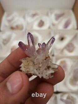 Veracruz Amethyst Flat With 24 Pieces