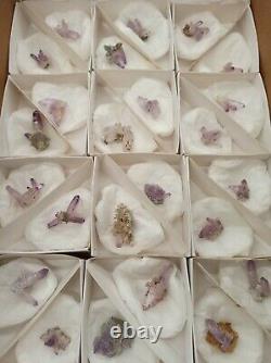 Veracruz Amethyst Flat With 24 Pieces