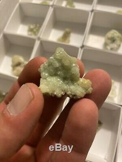 WHOLESALE- 35 piece flat of Prehnite Crystals from New Jersey