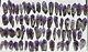Wholesale Laser Amethyst Crystals From Bahia, Brazil 65 Pieces 1 Kg # 4050