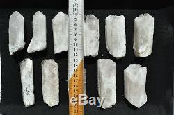 WHOLESALE Pink Danburite Crystals from Mexico 11 pieces 1.6 Kg # 4279