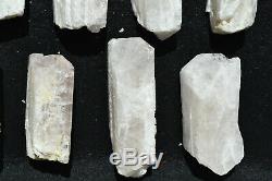 WHOLESALE Pink Danburite Crystals from Mexico 11 pieces 1.6 Kg # 4279