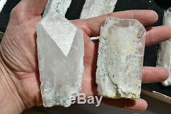 WHOLESALE Pink Danburite Crystals from Mexico 11 pieces 1.6 Kg # 4279