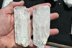 WHOLESALE Pink Danburite Crystals from Mexico 11 pieces 1.6 Kg # 4279