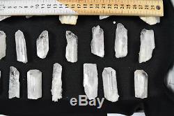 WHOLESALE Pink Danburite Crystals from Mexico 21 pieces 1500 grams # 6109